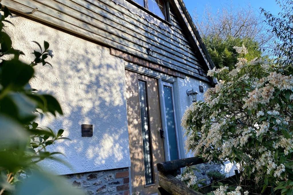 Coombe Edge Cottage Honiton Eksteriør billede